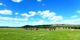 草原有害生物防治技术