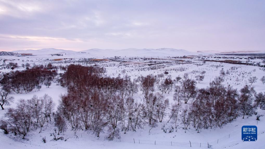　　11月16日，大风卷起雪粒在乌珠穆沁草原上漫天飞舞。<br>　　一场降雪过后，位于内蒙古锡林郭勒盟西乌珠穆沁旗的乌珠穆沁草原到处白雪皑皑、银装素裹，呈现出别样的动人景观。新华社记者 彭源 摄