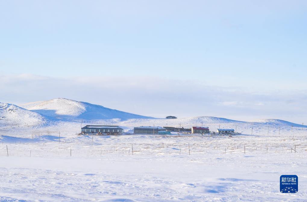 　　11月16日，大风卷起雪粒在乌珠穆沁草原上漫天飞舞。<br>　　一场降雪过后，位于内蒙古锡林郭勒盟西乌珠穆沁旗的乌珠穆沁草原到处白雪皑皑、银装素裹，呈现出别样的动人景观。新华社记者 彭源 摄