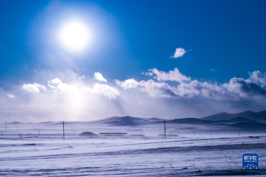 　　11月16日，大风卷起雪粒在乌珠穆沁草原上漫天飞舞。<br>　　一场降雪过后，位于内蒙古锡林郭勒盟西乌珠穆沁旗的乌珠穆沁草原到处白雪皑皑、银装素裹，呈现出别样的动人景观。新华社记者 彭源 摄