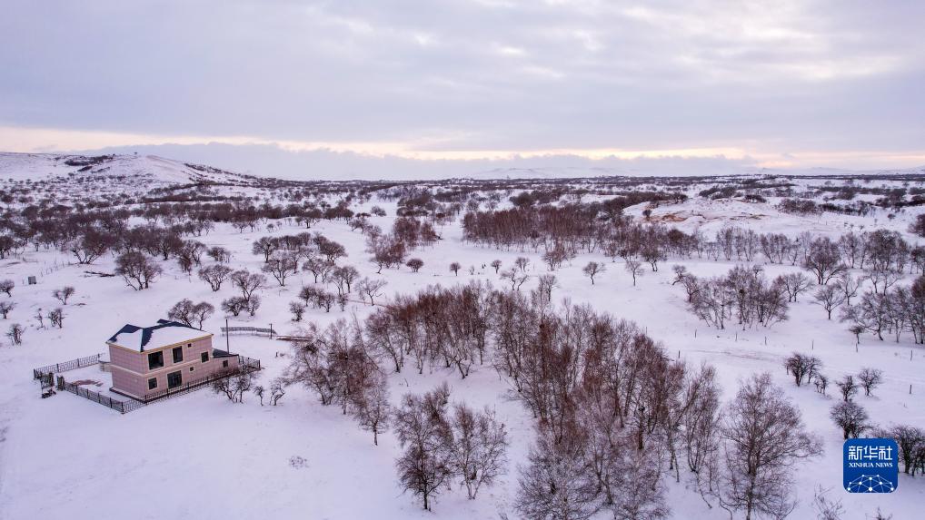 　　11月16日，大风卷起雪粒在乌珠穆沁草原上漫天飞舞。<br>　　一场降雪过后，位于内蒙古锡林郭勒盟西乌珠穆沁旗的乌珠穆沁草原到处白雪皑皑、银装素裹，呈现出别样的动人景观。新华社记者 彭源 摄