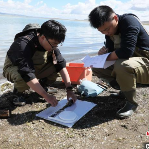 西藏色林错自然保护区草原生态保护鱼类监测项目启动
