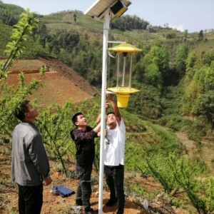 镇宁：防治林业有害生物 筑牢绿色生态屏障