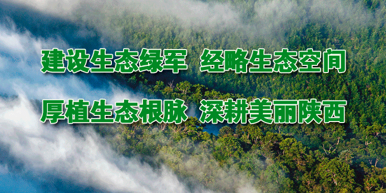 陕西秦岭巴山地区松材线虫病等重大林业有害生物联防联治会议召开 ...